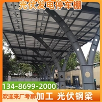 嵊州电瓶车停车棚实物图安装价格与