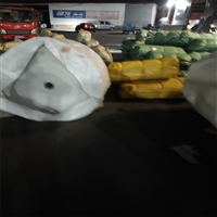 物流热线:达州到攀枝花货运公司包裹电车托运