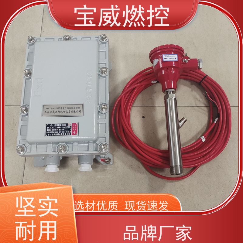 宝威燃控 工业火焰检测设备 快速响应 生产加工发货速度快 防爆分体式