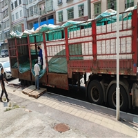 大同县到天津物流包车速运