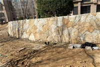 特色餐厅 柏坡黄自然面 柏坡凰石皮墙文化石 不规则碎拼石石材