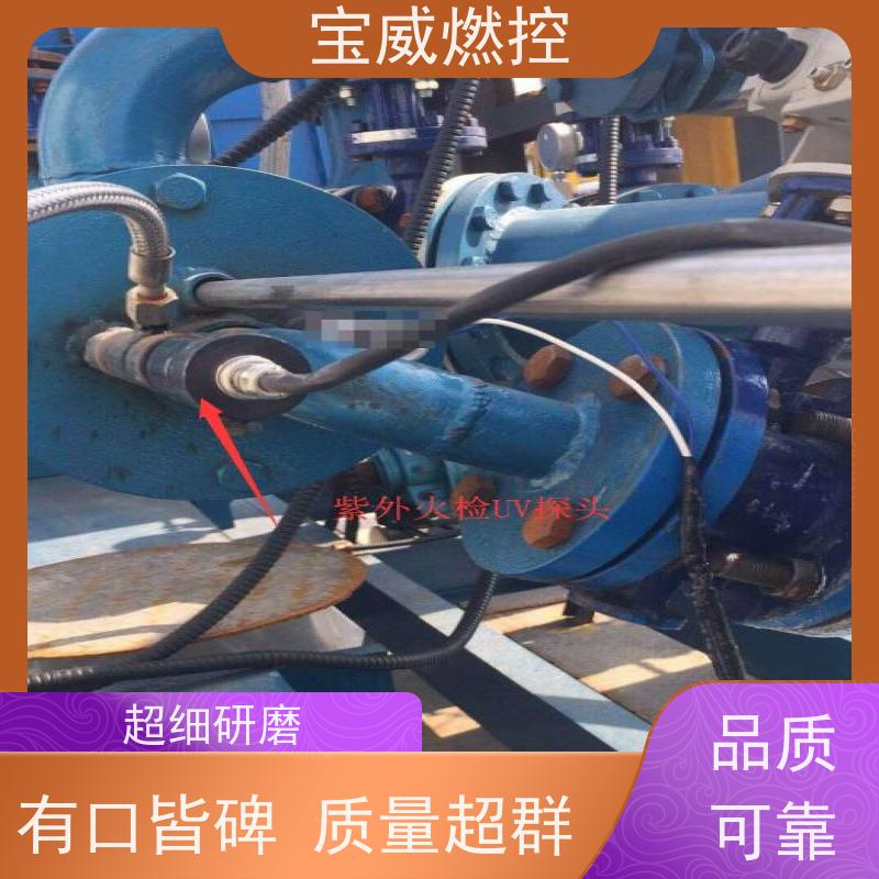 宝威燃控 可非标加工 工业火焰检测设备 远距离防爆 2868光敏管