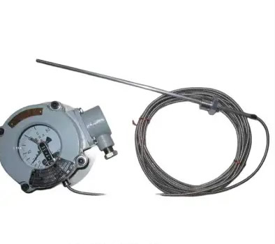 防爆仪表WTZd-286