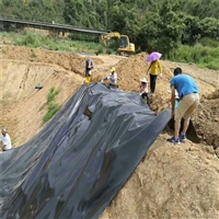 环保猪场黑膜1.5毫米规格铺设过程