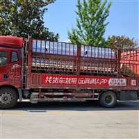  120万大卡热水锅炉分水集水器图片6000kw生物质导油炉太康银晨锅炉