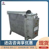 发热均匀 矿用隔爆兼增安型电热取暖器RB-2000/127A 