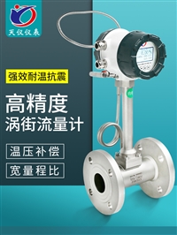 高智能涡街流量计污水管道计量表