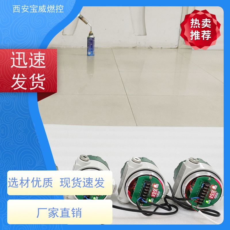 宝威燃控 BWZJ-FTA DC24V/AC220V 冶金炉火焰检测器 应用场合