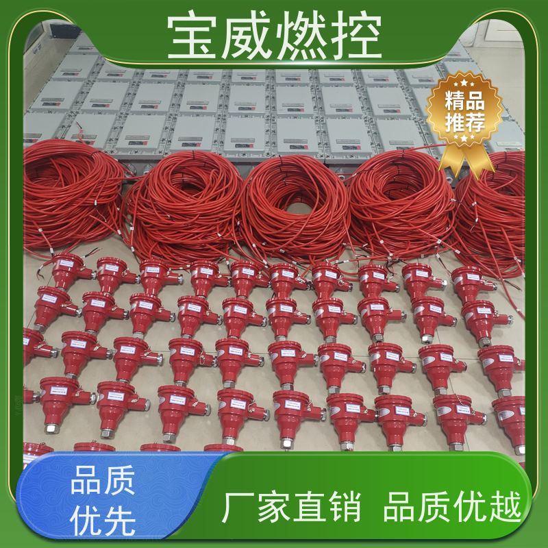 宝威燃控 在线火焰检测仪 可非标加工 2868光敏管