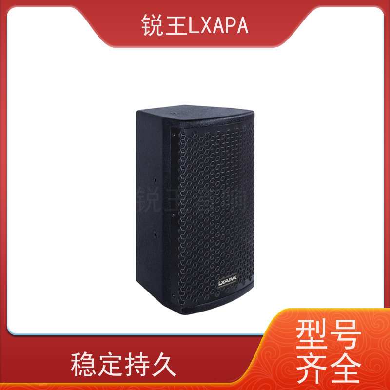 锐王LXAPA 声场饱满 适用于剧院 线阵音箱 会议音响