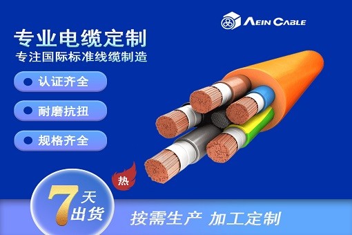 H05RR-F  300/500V柔性橡胶电缆