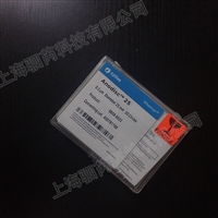 思拓凡沃特曼孔径0.2um 直径25mm氧化铝膜AAO膜6809-6022