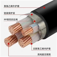 WDMYJY矿用阻燃电力电缆型号