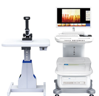 微循环显微数字成像系统MC-300