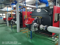 低氮燃烧机改造维修