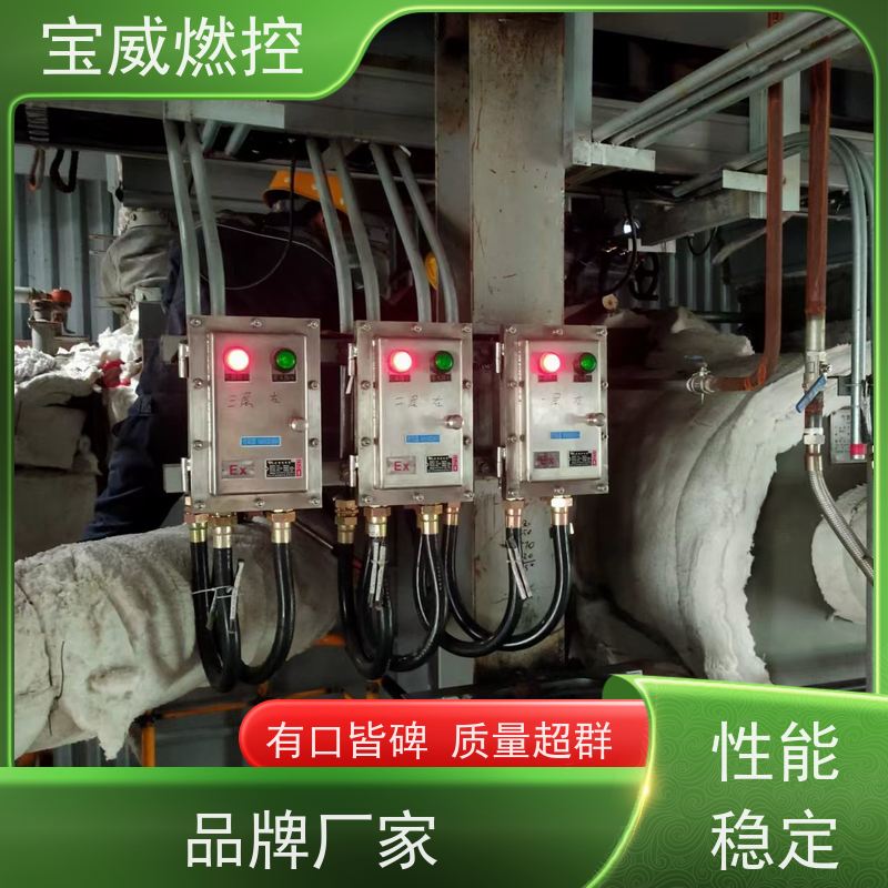 宝威燃控 工业火焰检测设备 防爆分体式 厂家供货常备库存 灵敏度可调