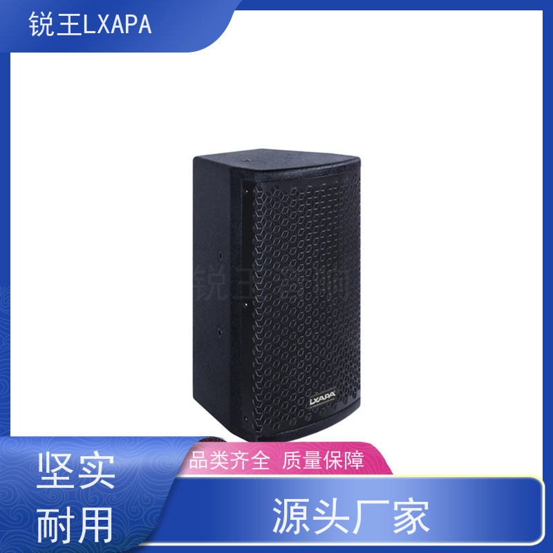 锐王LXAPA 壁挂音箱 扩音设备 巡回演出用 回声消除