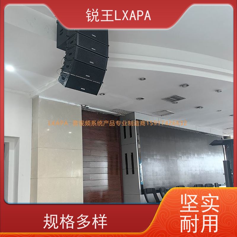 锐王LXAPA 网络会议设备 金属材质 音乐厅适用 声柱音箱