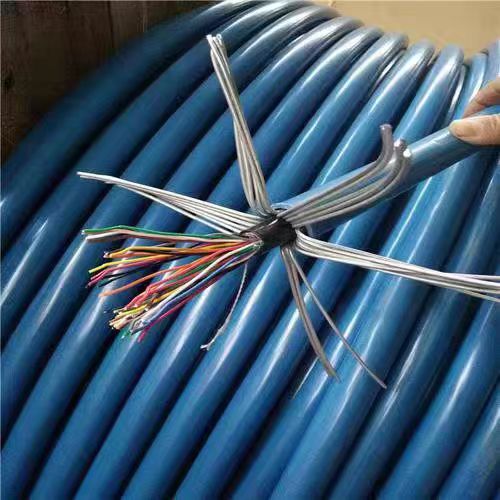 独股铜芯信号线MHYVP10*2*1/0.97