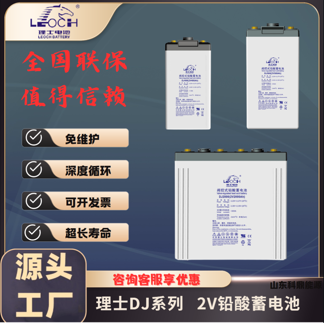 LEOCH理士铅酸免维护蓄电池2V100Ah船舶通信医疗后备电光伏DJ100