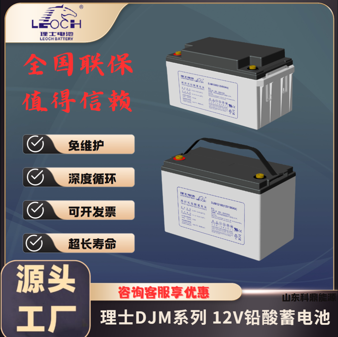 理士DJM12V铅酸蓄电池 全国联保 适用于UPS电源直流屏光伏系统