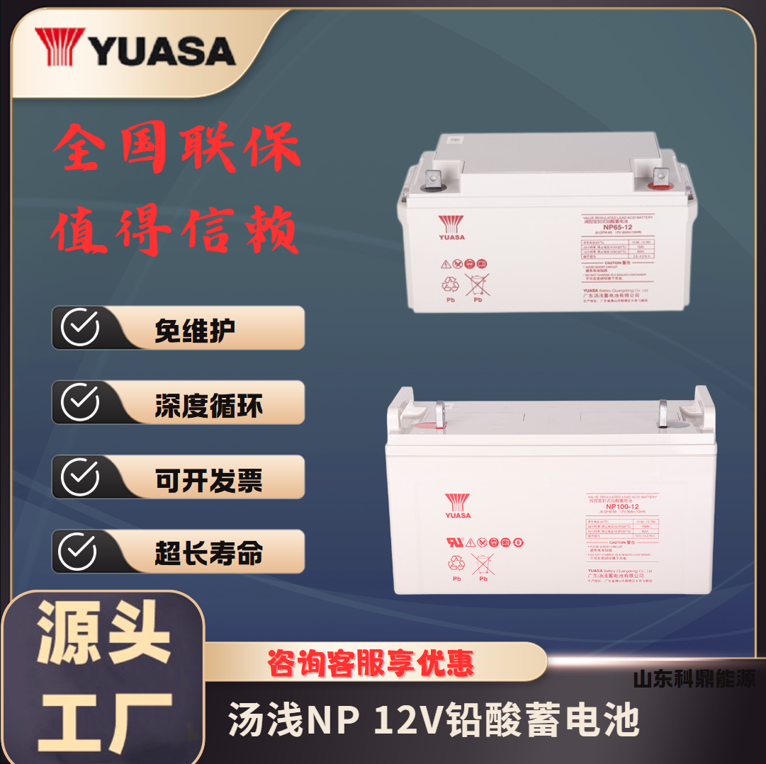 YUASA汤浅蓄电池NP100-12 12V100Ah直流屏UPS电源通信光伏应急储能