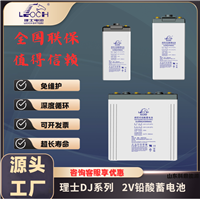 LEOCH理士铅酸免维护蓄电池2V100Ah船舶通信医疗后备电光伏DJ100