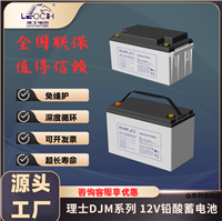 理士蓄电池DJM12100 12V100Ah消防照明 直流屏 UPS/EPS电源 