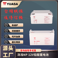 汤浅YUASA蓄电池NP65-12阀控式免维护12V65AhUPS/EPS电源应急