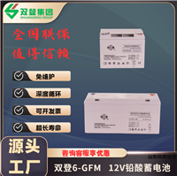 双登蓄电池6-GFM 工业铅酸储能12V65Ah密封式免维护通信基站备用