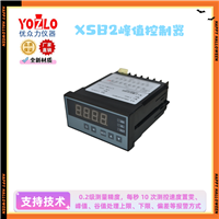 YOZLO优众力 XSD/A-H2RRT2V0多通道功能仪表