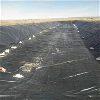 牛蛙养殖池3.0mm厚度PE膜长春HDPE防渗膜1.5mm厚