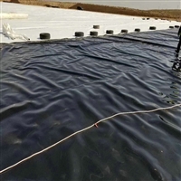 鱼养殖塘3.0mm厚度PE膜合肥1.0mmHDPE土工膜