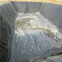 蚂蝗养殖池2.5mm厚度PE膜长沙1.5mmHDPE土工膜