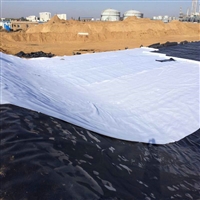 铁矿防渗3.0mm厚度PE膜福州0.75mmHDPE土工膜