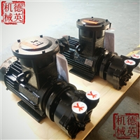 德国SPECK真空泵V30-35.M0001铸铁材质不锈钢叶轮 司倍克泵业