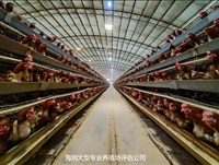 宁南评估机构经济林木价值评估