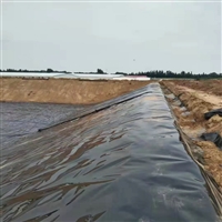 2.0mmHDPE防渗膜生产厂家污水处理厂