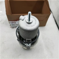 登福进气阀03602068厂家供应