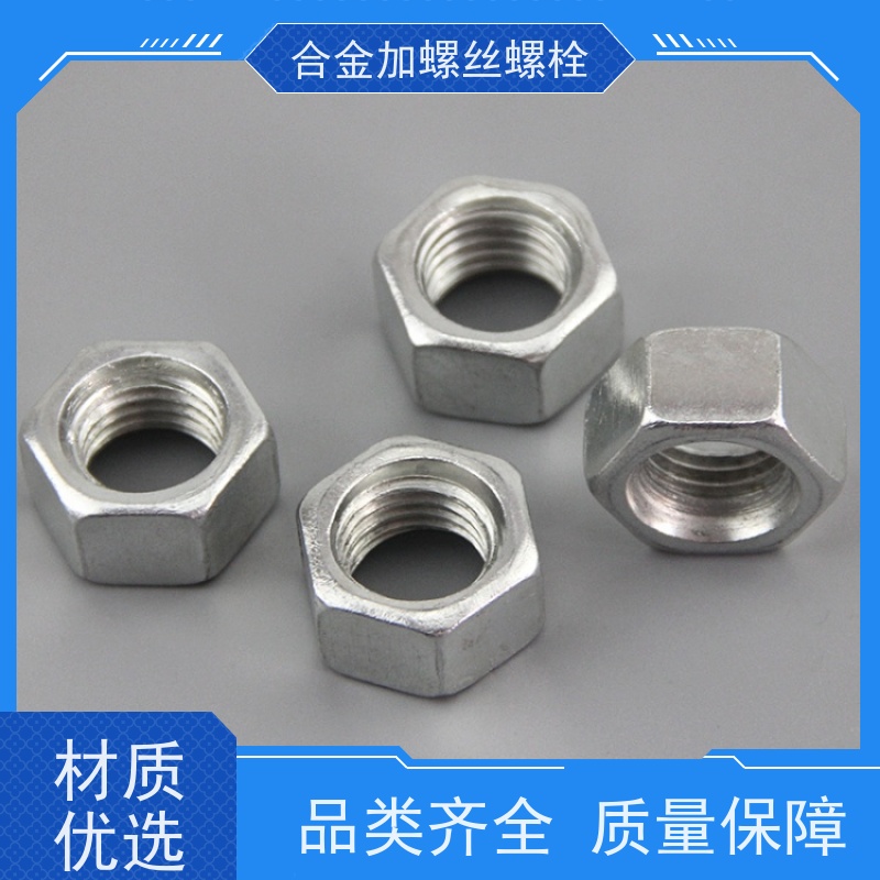 生产美标 GH5605 镍基合金 法兰阀门螺丝 来图定制