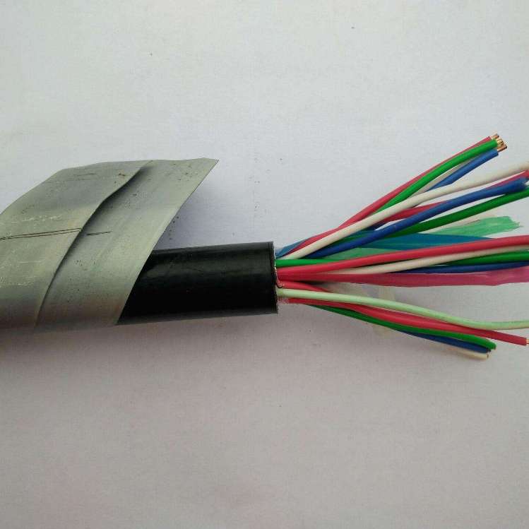 信号电缆PTYA23-48*1.0