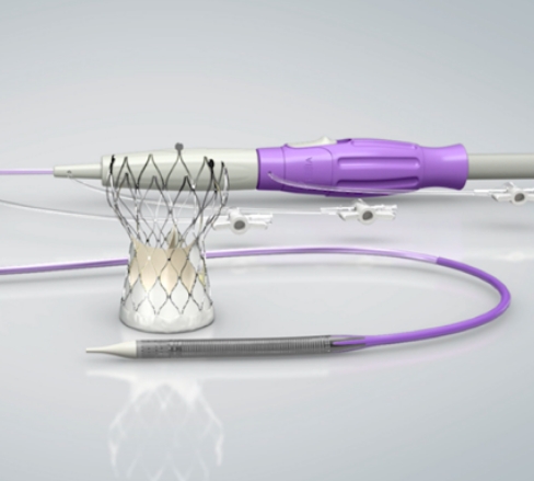 TAVTA21经导管植入式主动脉瓣膜系统