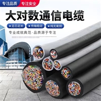 通讯电缆ZRC-HYA53-100*2*0.5