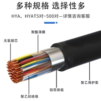 100对防火防水阻燃通讯电缆HYA53-100*2*0.5