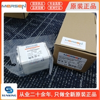 Ferraz Shawmut熔断器S301086 A065UD33TTI1600