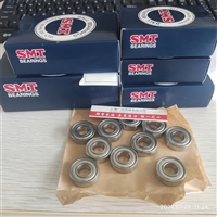 日本SMT轴承 SS6002ZZC4TC2轴承 SSXC900ZZ耐腐蚀不锈钢轴承