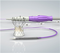 TAVTA21经导管植入式主动脉瓣膜系统