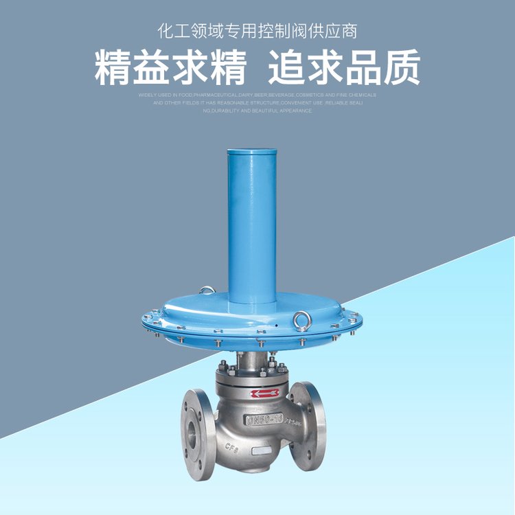 瑞浦自力式微压调节阀ZZVP流量压力控制阀 供氮泄氮阀带呼吸阀