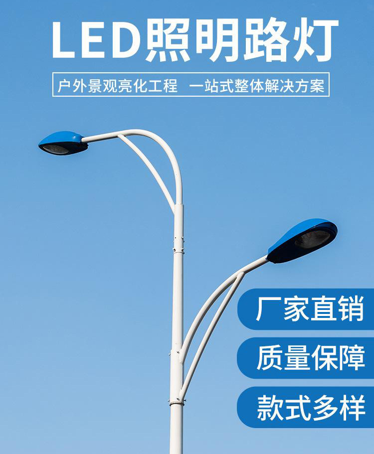 路灯生产厂家 大功率市电LED强光灯定制6米8米10米市政道路照明灯