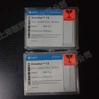 6809-7023思拓凡 Whatman 孔径0.2直径13mm无机膜 氧化铝膜